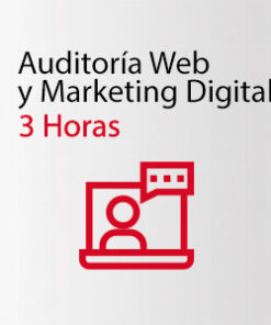 Auditoria Web y Marketing Digital - SIMPLE INFORMATICA